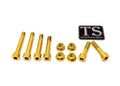Titanium Surron Rear Linkage Bolt Kit - Sur Ron LBX