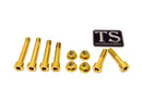 Titanium Surron Rear Linkage Bolt Kit - Sur Ron LBX