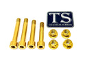 Titanium Surron Rear Linkage Bolt Kit - Sur Ron LBX