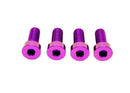Titanium Surron Seat and Subframe Bolt Set for E-Motos