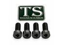 Titanium Surron Seat and Subframe Bolt Set for E-Motos