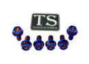 Titanium Surron Sprocket Bolt Set for E-Motos