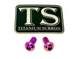 Titanium Surron Motor Cover Bolt Set for E-Motos