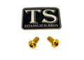 Titanium Surron Motor Cover Bolt Set for E-Motos