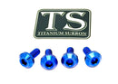 Titanium Surron Brake Hand Guard Bolts - Sur Ron Ultra Bee