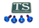 Titanium Surron Brake Hand Guard Bolts - Sur Ron Ultra Bee