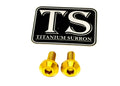 Titanium Surron Brake Hand Guard Bolts - Sur Ron Ultra Bee