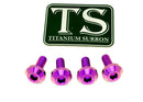 Titanium Surron Brake Hand Guard Bolts - Sur Ron Ultra Bee