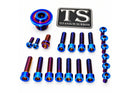 Titanium Surron OEM Fork Bolt Kit - Sur Ron Ultra Bee