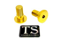 Titanium Surron Swingarm Bolts - Talaria Sting MX3 / MX4 / MX5
