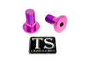Titanium Surron Swingarm Bolts - Talaria Sting MX3 / MX4 / MX5