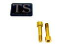 Titanium Surron Triangle Bolt Set for E-Motos