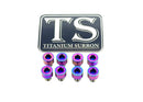 Titanium Surron Ventus V9600 Heat Sink Bolt Kit for E-Motos